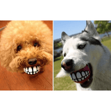 3 Pack Smile Dog Balls - IndigoPetco.com