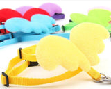 Angel Pet Wings, Harness, and Leash Set - IndigoPetco.com