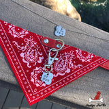 Bandana Pet Collar & Best Friends Necklace Set - IndigoPetco.com