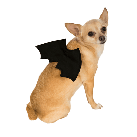 Bat Wings Pet Costume