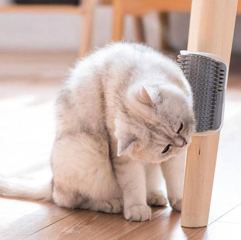 Cat Self Groomer - IndigoPetco.com