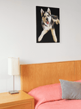 Custom Canvas of Your Pet - IndigoPetco.com