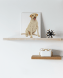 Custom Canvas of Your Pet - IndigoPetco.com
