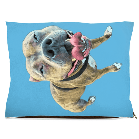 Custom Dog Bed - IndigoPetco.com