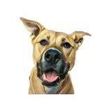 Custom Print Vinyl Sticker of Your Pet - IndigoPetco.com