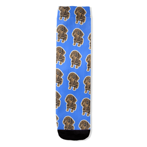 Custom Pet Socks - with YOUR pet! - IndigoPetco.com