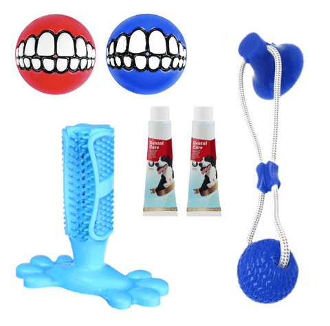 Dog Playtime Box - IndigoPetco.com