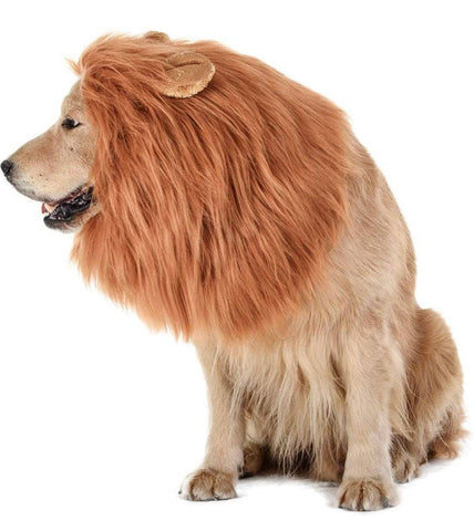 The Lion King Dog Costume