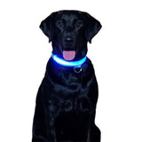 LED Glow Collar - IndigoPetco.com