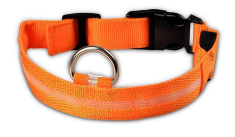 LED Glow Collar - IndigoPetco.com