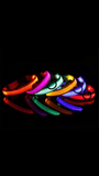 LED Glow Collar - IndigoPetco.com