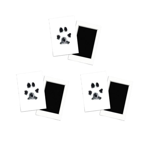 3-Pack Paw Print Stamp Pads - IndigoPetco.com