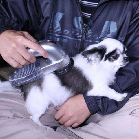 Pet Hair Pal Cordless Vacuum - IndigoPetco.com