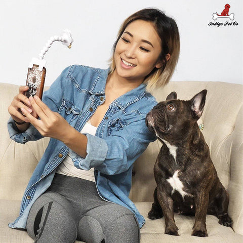 Pet Selfie Stick - IndigoPetco.com