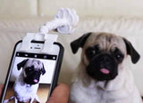 Pet Selfie Stick - IndigoPetco.com