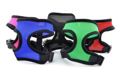 Mesh Body Harness - IndigoPetco.com