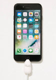 Polar Bear Cable Chomper - IndigoPetco.com