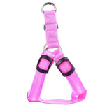 Safety Glow Pet Harness - IndigoPetco.com