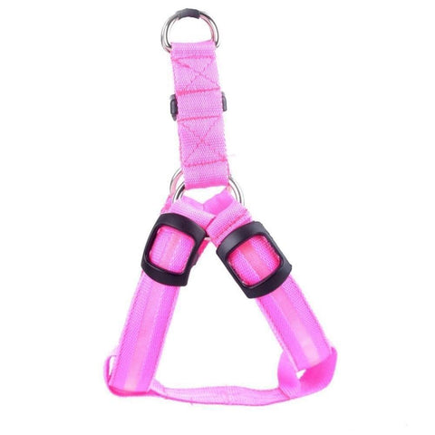 Safety Glow Pet Harness - IndigoPetco.com