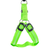 Safety Glow Pet Harness - IndigoPetco.com