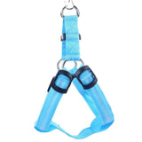 Safety Glow Pet Harness - IndigoPetco.com
