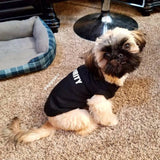 Security Pet Shirt - IndigoPetco.com