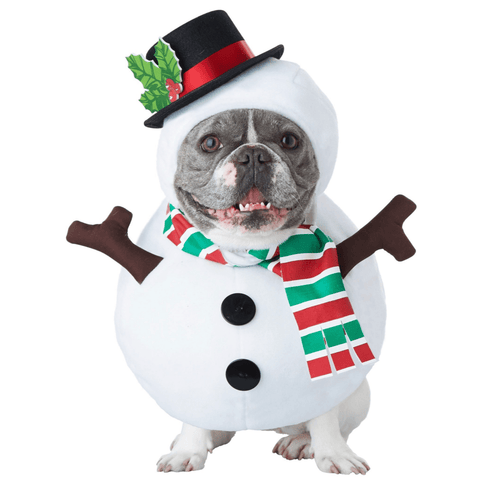 Snowman Dog Costume - IndigoPetco.com