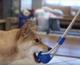 3-Pack Suction Cup Dog Tug Toys - IndigoPetco.com