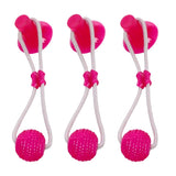 3-Pack Suction Cup Dog Tug Toys - IndigoPetco.com