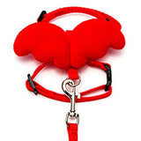 Angel Pet Wings, Harness, and Leash Set