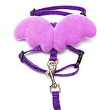 Angel Pet Wings, Harness, and Leash Set