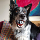 Smile Dog Ball