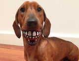 Smile Dog Ball
