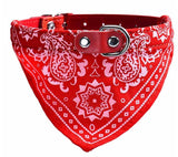 Red Bandana Collar