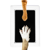Paw Print Stamp Pad