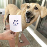 Paw Print Stamp Pad