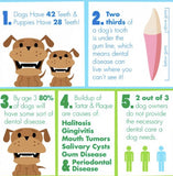 World's Most Effective Dog Toothbrush