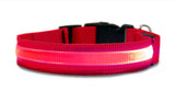 Red LED Glow Collar