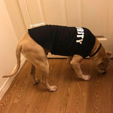 Security Pet Shirt