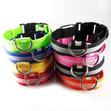 LED Glow Collars