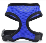 Mesh Body Harness