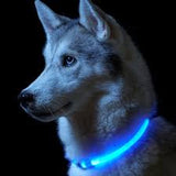 Blue LED Glow Collar
