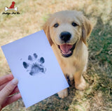 3-Pack Paw Print Stamp Pads - IndigoPetco.com