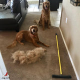 Pet Hair Removal Broom - IndigoPetco.com