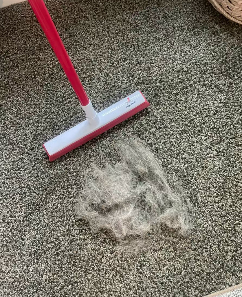 TikTok's Favorite Pet Hair Broom: Hype or Actually Worth It?