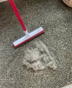 TikTok's Favorite Pet Hair Broom: Hype or Actually Worth It?