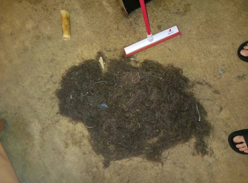 The Ultimate Pet Hair Removal Hacks for Clean Homes