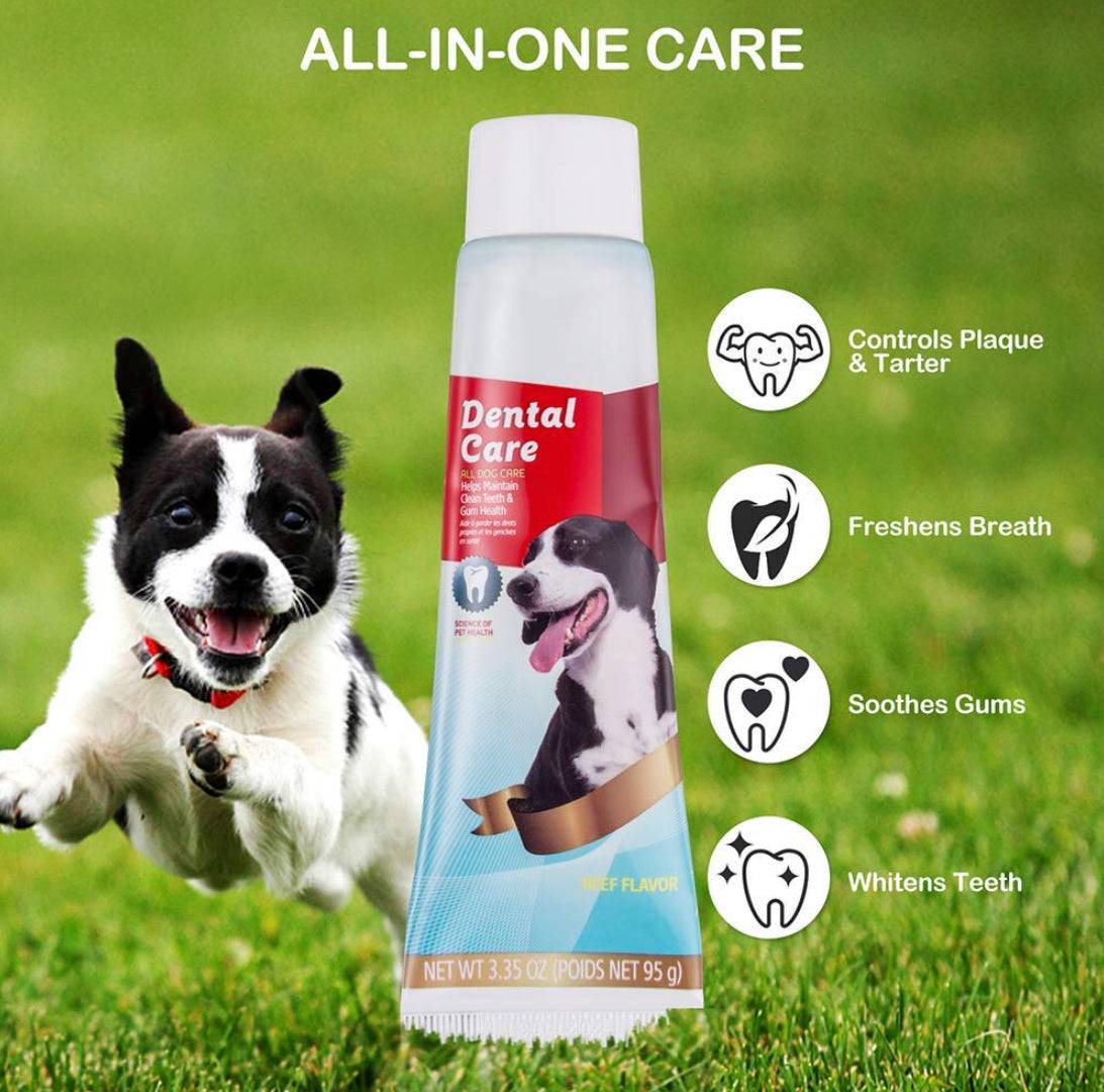 Fish Dog Toothpaste Beef Flavored Dog Toothpaste