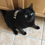 Security Pet Shirt