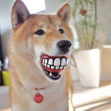 Smile Dog Ball